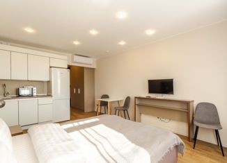 Продаю квартиру студию, 26.5 м2, Санкт-Петербург, Малый проспект Васильевского острова, 54к2, Малый проспект Васильевского острова