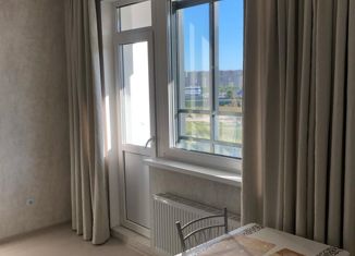 Продам квартиру студию, 22.4 м2, Санкт-Петербург, Среднерогатская улица, 16к4, метро Звёздная