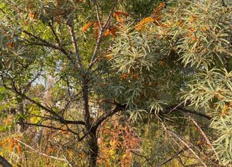 Продам земельный участок, 9.5 сот., товарищество собственников недвижимости Облепиха