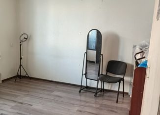 1-ком. квартира на продажу, 28 м2, Ставрополь, улица Бруснева, 4/1, микрорайон № 19