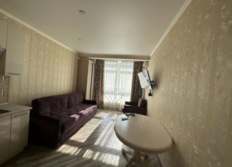 Продам квартиру студию, 22.3 м2, Анапа, Таманская улица, 121к12, ЖК Бельведер