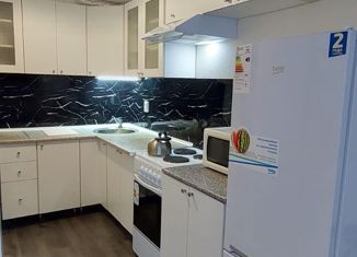 Сдача в аренду квартиры студии, 30.8 м2, поселок Бугры, Гаражный проезд, 27к2, ЖК Новые Горизонты