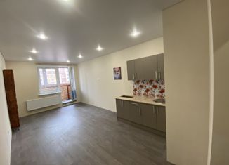 Продается 1-ком. квартира, 32 м2, село Осиновая Гора, Восточная улица, 13