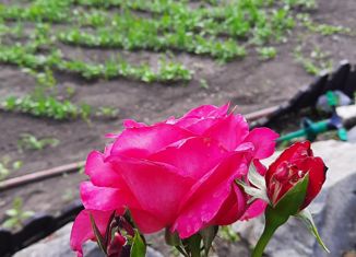 Земельный участок на продажу, 8 сот., поселок Ростовка