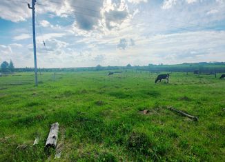 Продается земельный участок, 16 сот., село Быньги, Трудовая улица