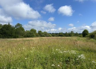 Продам участок, 30 сот., деревня Трубников Бор, улица Мира