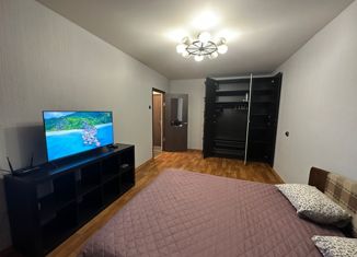 1-комнатная квартира в аренду, 33 м2, Санкт-Петербург, аллея Котельникова, 3, метро Комендантский проспект