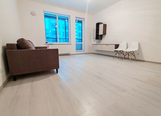 Продается квартира студия, 30 м2, Санкт-Петербург, Арцеуловская аллея, 17, ЖК Чистое Небо