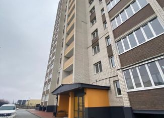 Продажа 2-комнатной квартиры, 52.5 м2, деревня Крутые Выселки, Мичуринская улица, 234