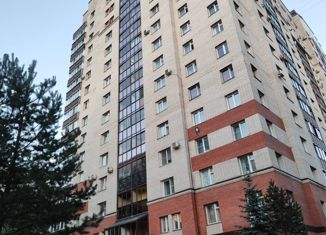 1-комнатная квартира в аренду, 47 м2, Санкт-Петербург, Тихорецкий проспект, 33к1