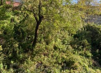 Продам 1-комнатную квартиру, 33 м2, Владивосток, Магнитогорская улица, 24, Советский район