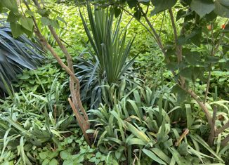 Продаю участок, 10 сот., садово-огородное товарищество Мостовик, Раздольная улица