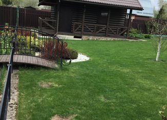 Дом на продажу, 31.7 м2, деревня Голенищево, садовое товарищество Юпитер, 13