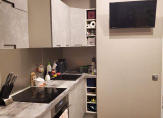 Однокомнатная квартира на продажу, 46 м2, Тосно, проспект Ленина, 3