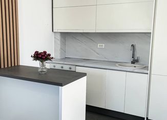 Продаю 1-комнатную квартиру, 43 м2, Краснодар, Кубанская набережная, 31/1, Кубанская набережная