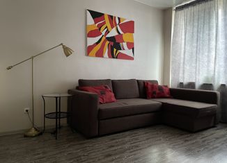 Продажа 1-ком. квартиры, 41.7 м2, Санкт-Петербург, улица Латышских Стрелков, 15к1, улица Латышских Стрелков