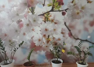 Продается 2-комнатная квартира, 45.3 м2, Самара, микрорайон Крутые Ключи, 31, метро Юнгородок