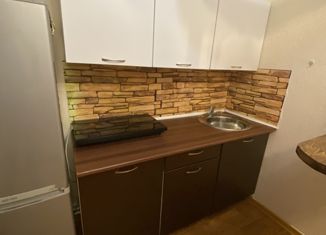 Квартира на продажу студия, 28 м2, Чебаркуль, улица Заря, 33