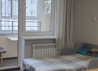 Продается квартира студия, 23 м2, Нижний Новгород, Московское шоссе, 167к2, Московское шоссе