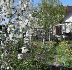 Продам дом, 32.4 м2, хутор Демино, Третья улица, 17