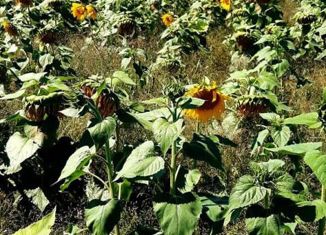 Продам земельный участок, 6 сот., Челябинск, Тракторозаводский район, улица Завалишина