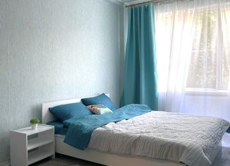 Продается однокомнатная квартира, 31 м2, Санкт-Петербург, улица Шелгунова, 6к1, улица Шелгунова