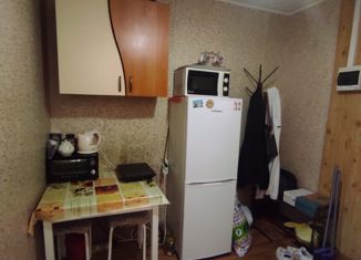 Продажа 1-ком. квартиры, 18 м2, Барнаул, улица Эмилии Алексеевой, 70, Ленинский район