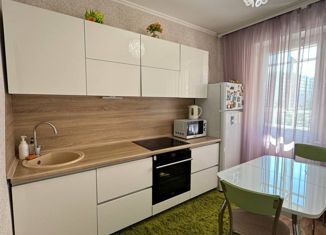 Продажа 1-комнатной квартиры, 40.1 м2, Красноярск, улица Дмитрия Мартынова, 33, Центральный район