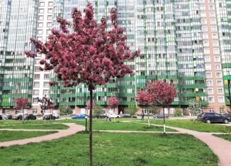 Продам однокомнатную квартиру, 34 м2, Мурино, улица Шувалова, 11, ЖК Гринландия