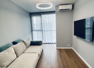 Сдаю квартиру студию, 24 м2, Краснодарский край, Ясногорская улица, 16/6к1