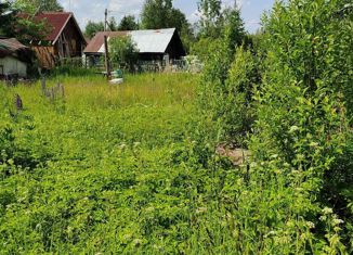 Продается земельный участок, 6 сот., садоводческий массив Красницы, садоводческое товарищество Берёзка, 995