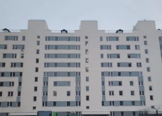 Продается 1-ком. квартира, 38.8 м2, посёлок Шушары, Московское шоссе, 256к1, ЖК Вариант