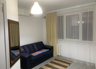 Квартира на продажу студия, 25 м2, село Орёл-Изумруд, улица Гастелло, 40А