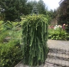 Дом на продажу, 307.8 м2, деревня Веледниково