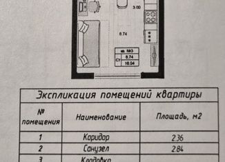 Продается квартира студия, 16.94 м2, деревня Малое Верево, улица Кутышева, 9к1
