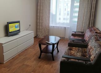 Аренда 2-комнатной квартиры, 51 м2, Санкт-Петербург, Замшина улица, 31к3, Калининский район