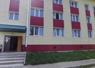 Продается 2-ком. квартира, 33.2 м2, село Покровка, улица Северная Мелиораторов, 8