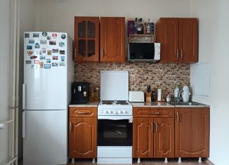 Продажа 1-комнатной квартиры, 41 м2, деревня Жилина, улица Естина, 1