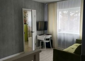 Продажа двухкомнатной квартиры, 40 м2, Кемерово, Новогодняя улица, 15, жилой район Кедровка