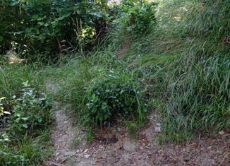 Продам участок, 10 сот., село Раздольное, улица Механизаторов