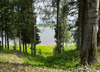 Продаю участок, 25 сот., деревня Пятково, 11К-867