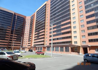 Продается квартира студия, 28 м2, Санкт-Петербург, улица Коммунаров, 190, улица Коммунаров