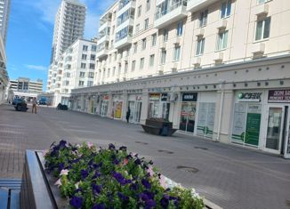 Продам квартиру студию, 23.8 м2, Санкт-Петербург, ЖК Новоорловский, набережная реки Каменки, 7к3