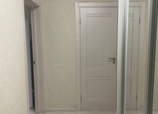 Продаю квартиру студию, 26.2 м2, Краснодар, улица имени Героя Советского Союза Дмитрия Мирошниченко, 41, ЖК Квартал № 6