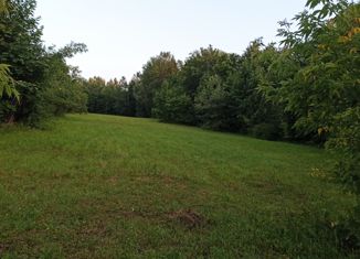 Продаю земельный участок, 41 сот., деревня Елачкасы, Запрудная улица