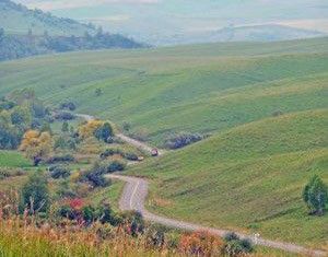 Продается земельный участок, 119.63 сот., Алтайский край