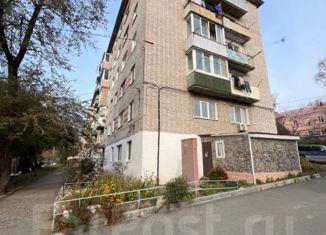 Продажа 2-комнатной квартиры, 45.2 м2, Артём, Братская улица, 26