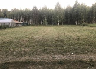 Продаю земельный участок, 6.5 сот., садоводческое некоммерческое товарищество Полянка, садоводческое некоммерческое товарищество Полянка, 248