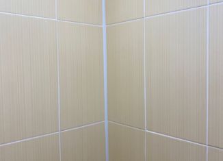 Продается 2-комнатная квартира, 52.5 м2, село Акъяр, Юбилейная улица, 10