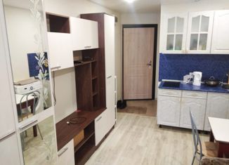 Квартира в аренду студия, 21.6 м2, Татарстан, 45-й комплекс, 02